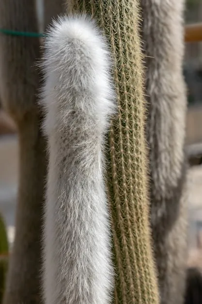 An image showcasing a variety of luxurious, comfortable fabrics like silk, cashmere, and high-quality knits. Include swatches or garments made from these materials, emphasizing their softness, drape, and overall appeal.
